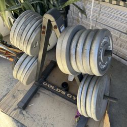 Weights 