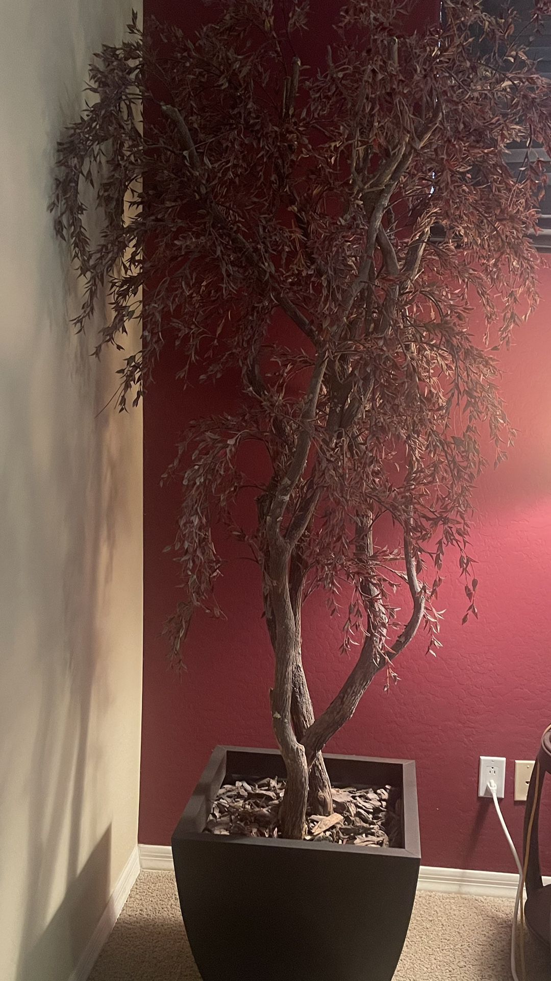 7 Foot Silk Plant/Tree Cost $1200. Selling for $250