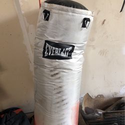 everlast punching bag
