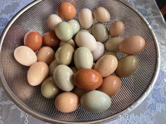 Eggs