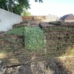 Grass And Sprinklers 