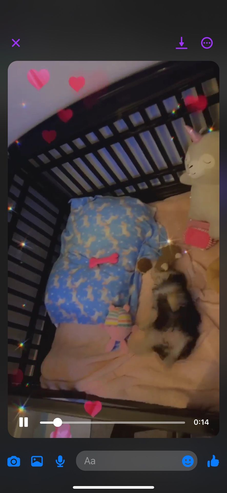 Dog Playpen