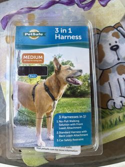 Dog Supply