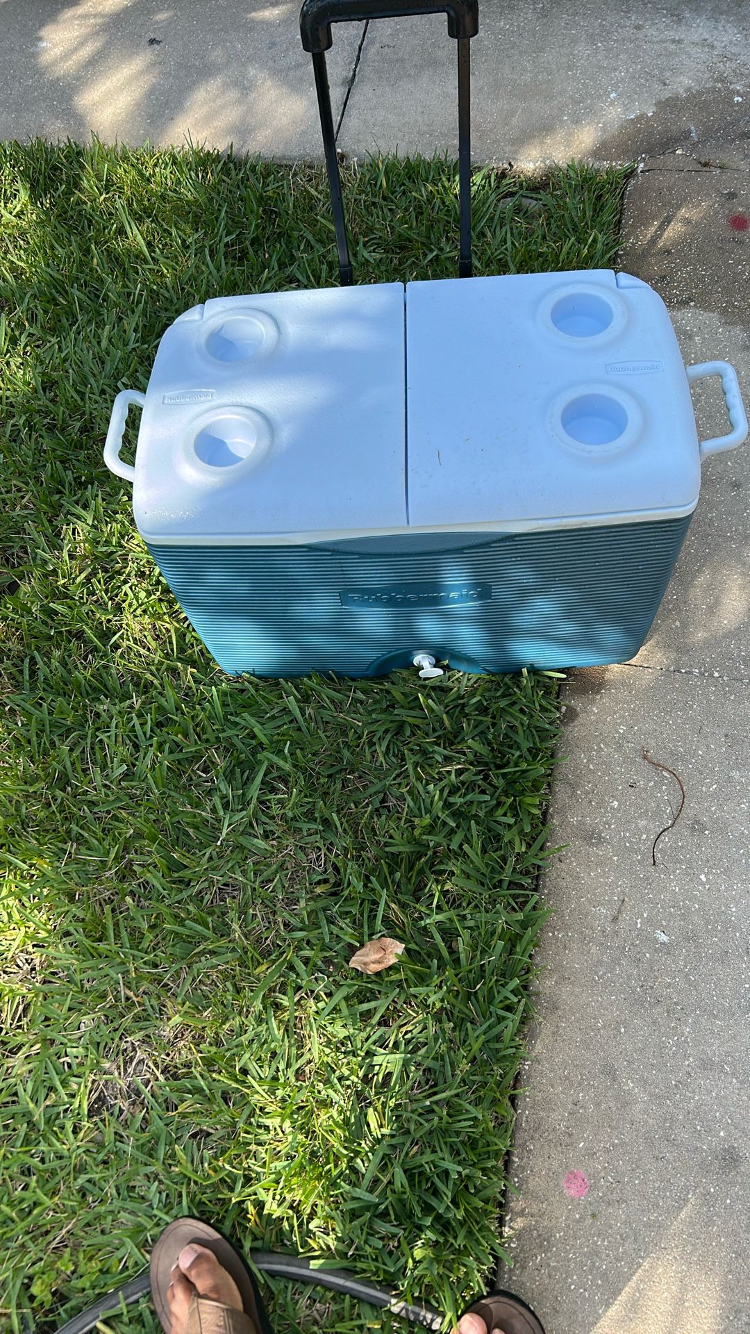 rubbermaid cooler