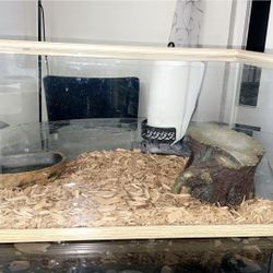 Fish Tank 