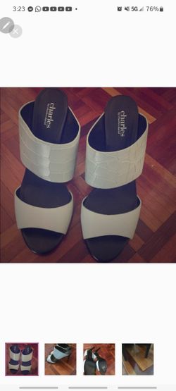 Charles David Heels Size 8.5