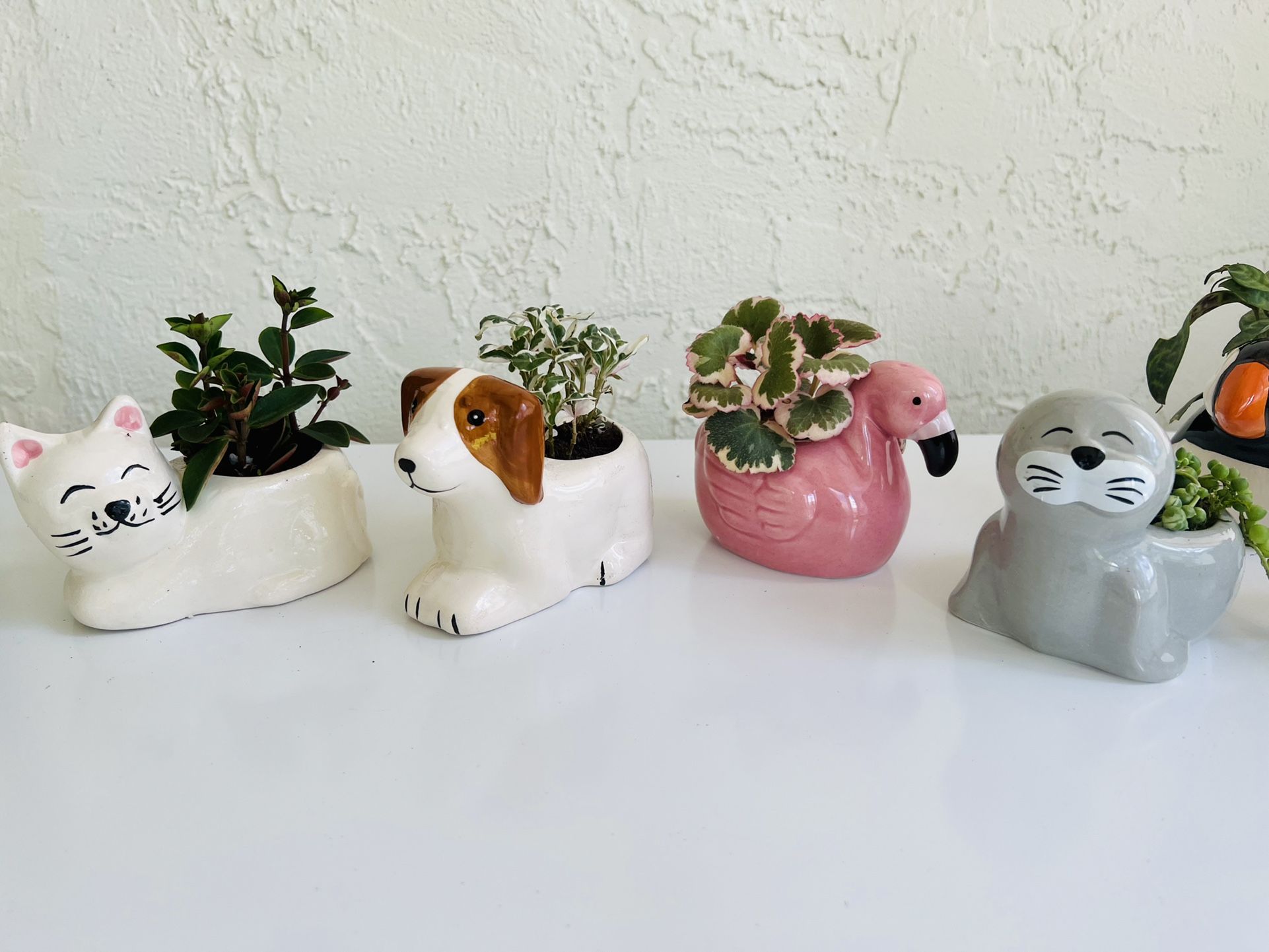 Animal Planters With Mini Plants