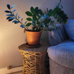 Rattan Plant Holder/side Table/