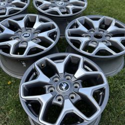 Ford Bronco Rims 