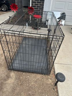XL dog kennel