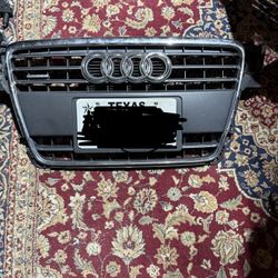 OEM 2009-2012 Audi A4 Front Bumper Grill