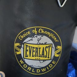 Boxing Training Bag