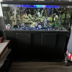 Fish tank with stand