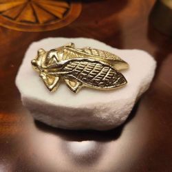 Cicada Sculpture on White Marble Paperweight