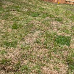 Sod Installations 