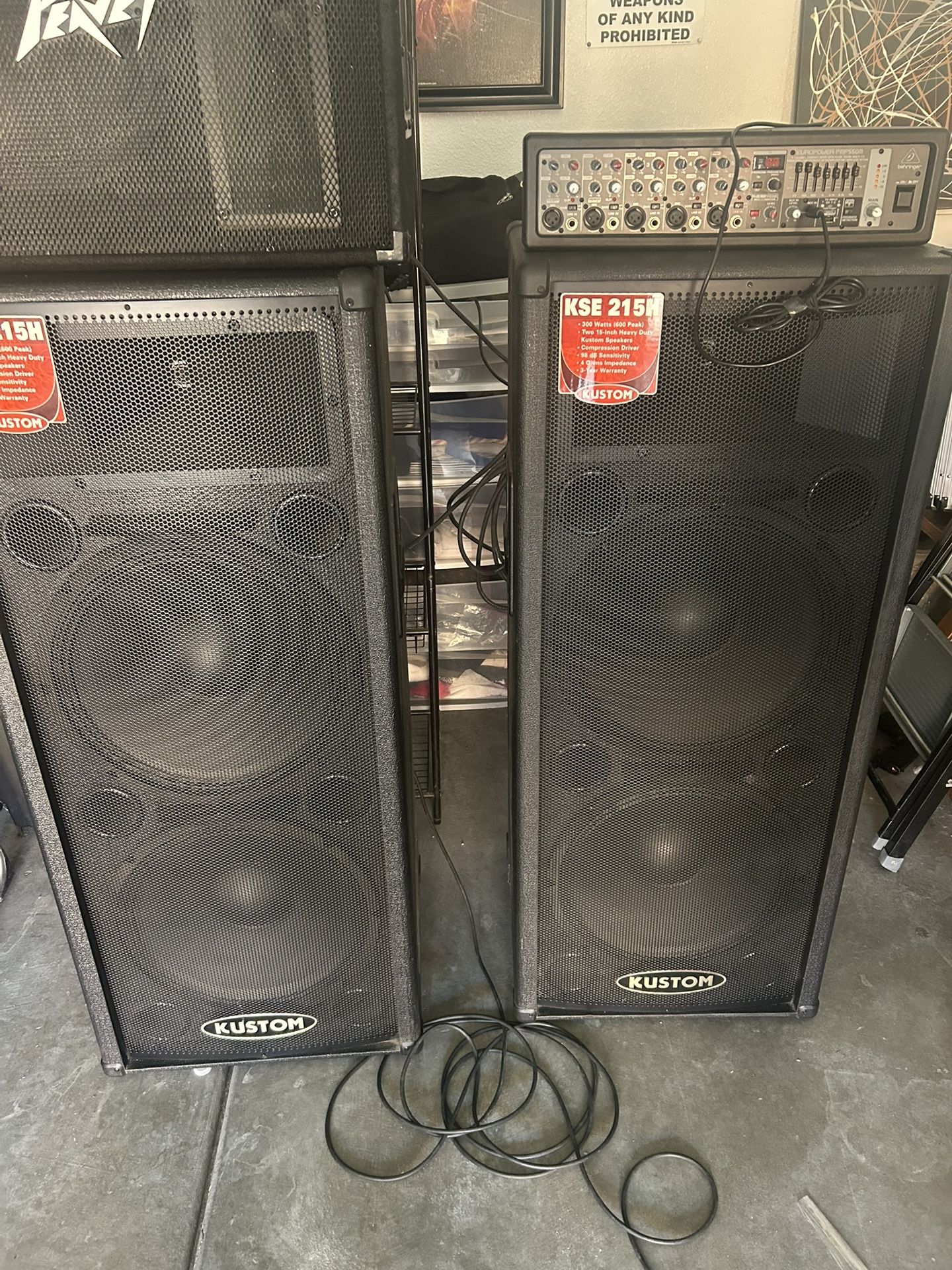 Pro Audio System 