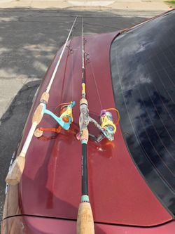 Fishing rods