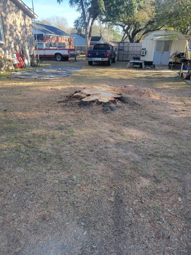 Stump Grinding