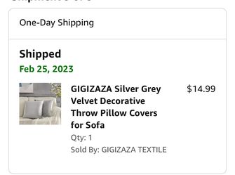 2 18x18 Pillow Cases