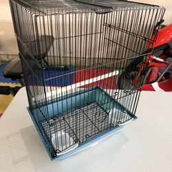 Bird Cage 