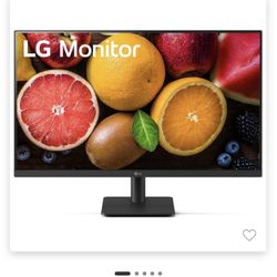 LG 27in Monitor