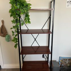 Industrial Ladder Shelf