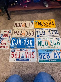 Novelty plates, license plates