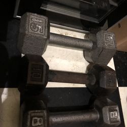 Dumbbell Weights 8lb 10lb 15lb