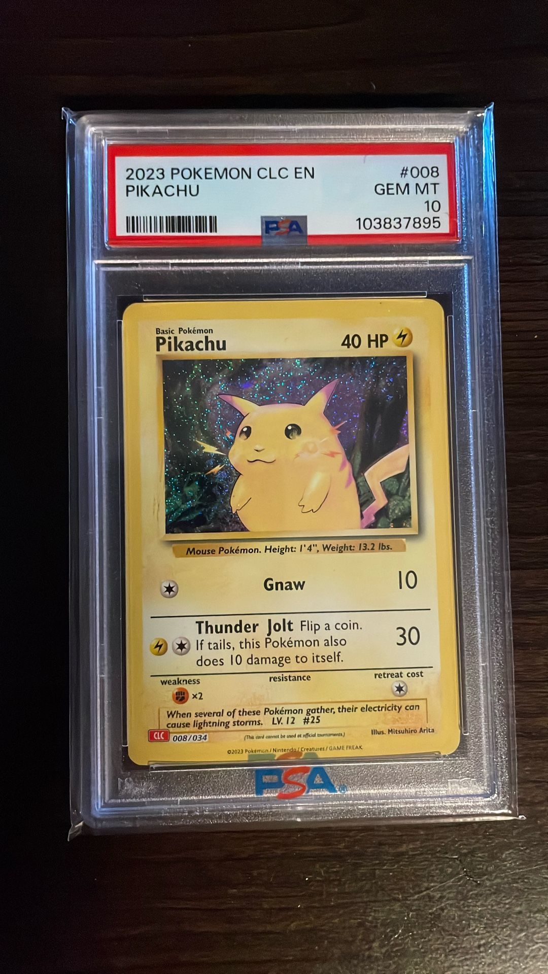PSA 10 Pokemon Cards