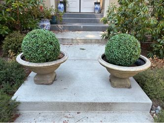Italian style urns Fiberglas (100 each)