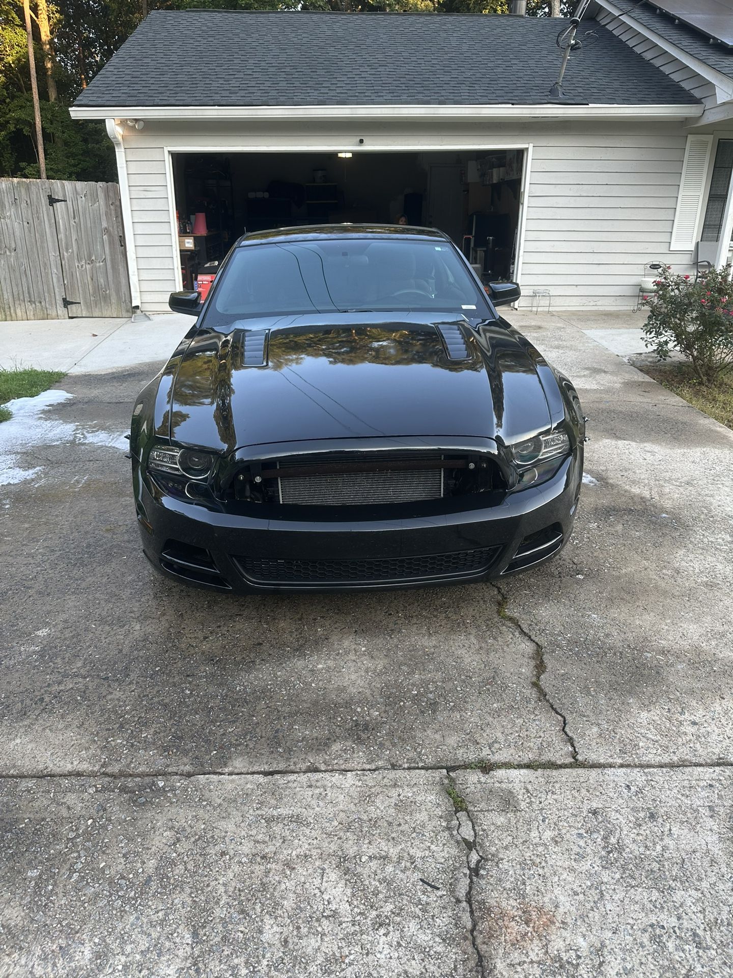 2013 Ford Mustang