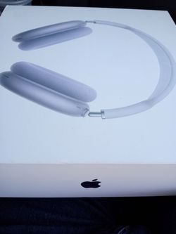 Air pods max