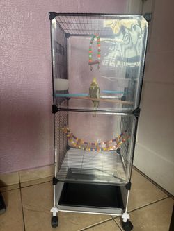 Jaulas para pajaritos