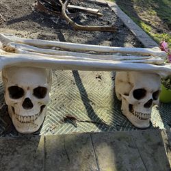 Halloween Skull Bench