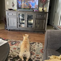 Move Out Sale - TV Entertainment Console/Center