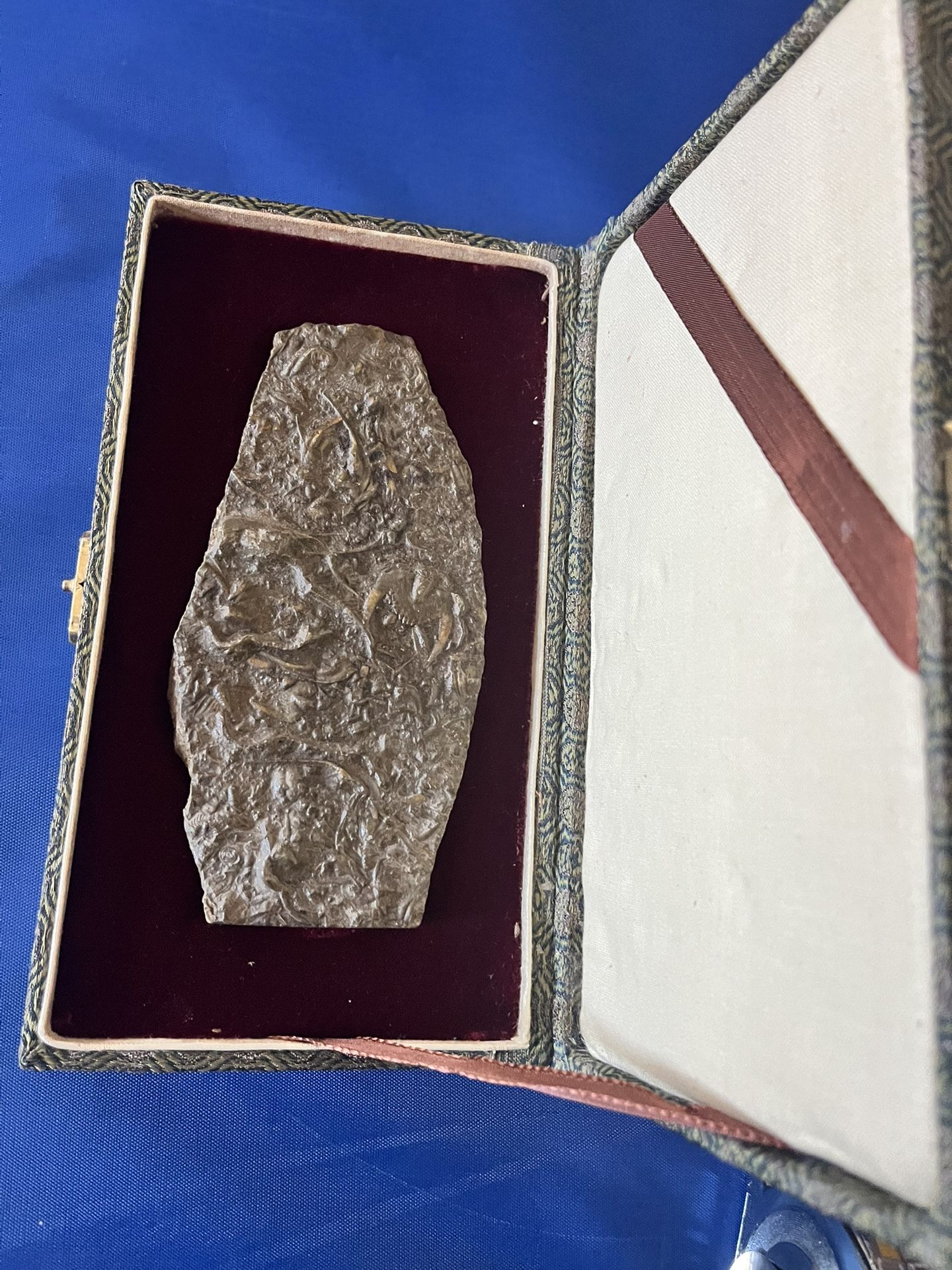 Cambrian trilobite fossil  main image 2