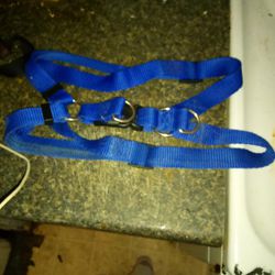 Used Dog Harness And Very Good Shape