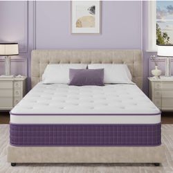Queen Mattress 12 inch,Purple Queen Size Mattress in a Box,Cooling Gel Infused Memory Foam and Pocket Hybrid Spring Mattress,Medium Firm,Pressure Reli