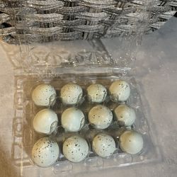 Quail Eggs