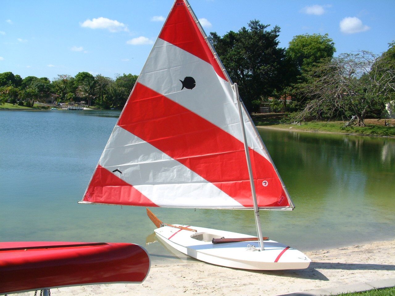 Alcort Sunfish