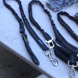 DOG Bungee Leashes