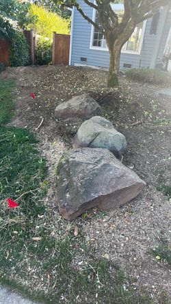 Landscaping