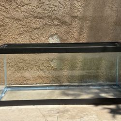 20 Gallon Aquarium Tank