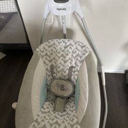 Ingenuity Baby Swing 