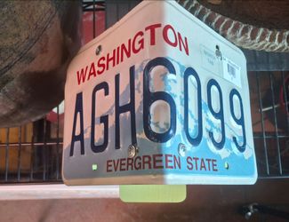 Washington plate bird house