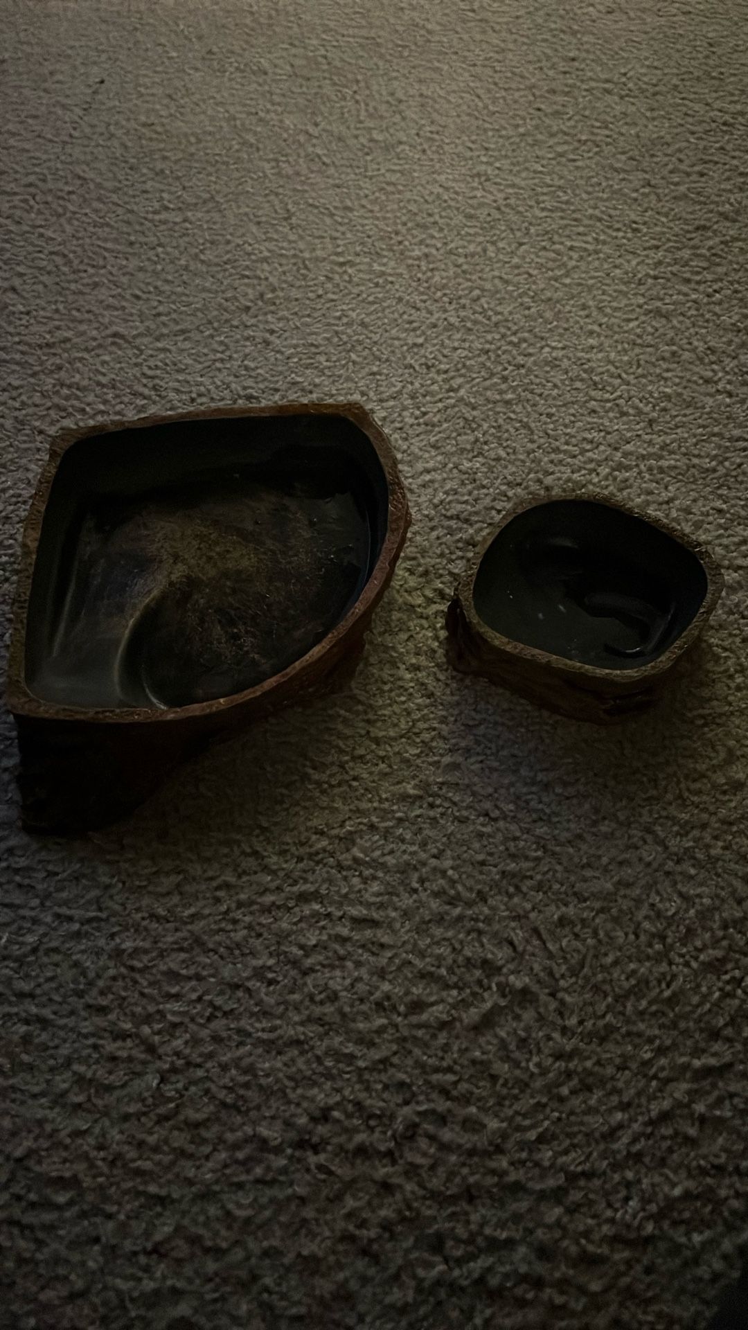 Reptile Accessories (Read Description Plz)