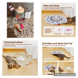 New: interactive Pet toys