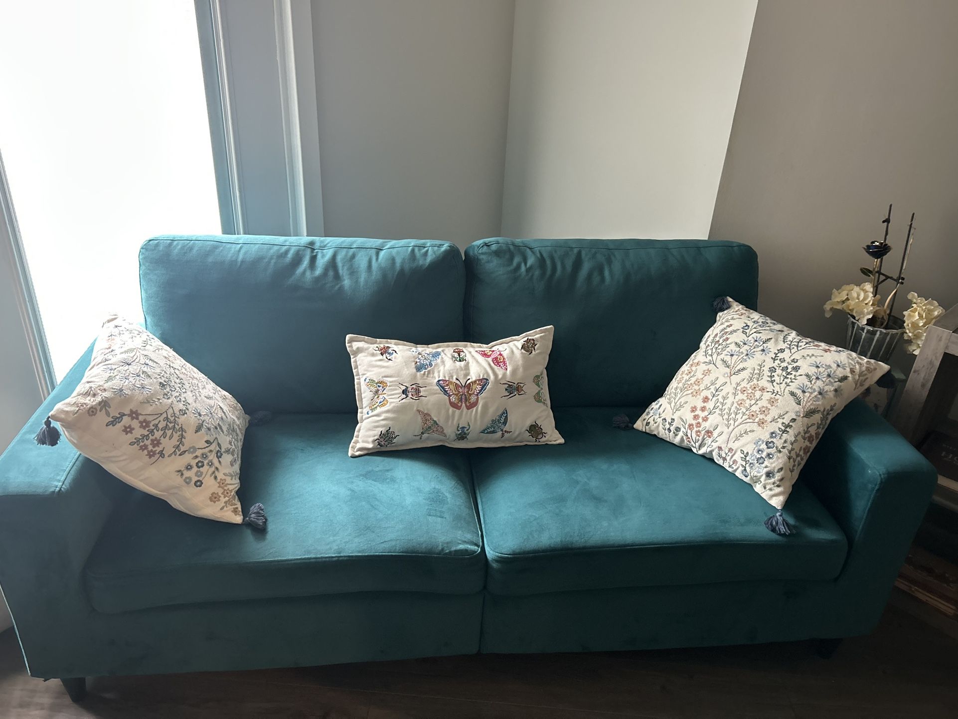 Velvet Sofa With Cushions