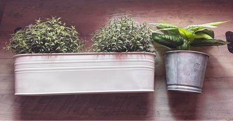 IKEA pots and fake plants