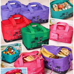 Trader Joe’s Mini Insulated Bags – Yes, THOSE Ones 👀🔥